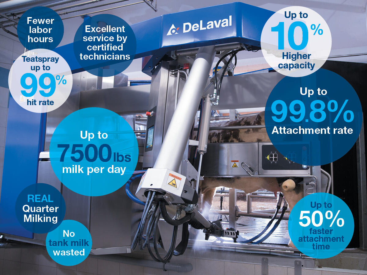 DeLaval VMS™ V300: A new experience for cows and customers - DeLaval