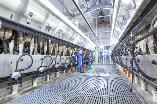 Milking - DeLaval