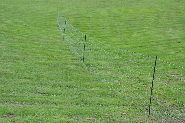 DeLaval sheep net BW DeLaval