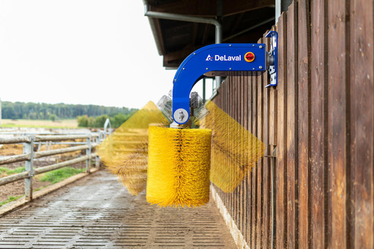 Swinging cow brush & accessories DeLaval