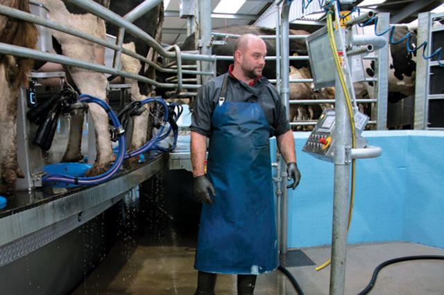 Pigna 40x Fogli Di Ricambio Rinforzati Raccoglitori Quadretti Medie E Superiori 5mm 5m Cancelleria Pigna