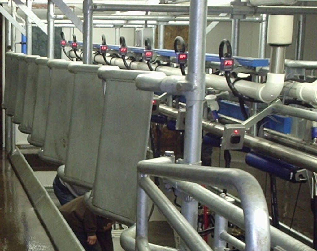 DeLaval herringbone parlor HB50 DeLaval